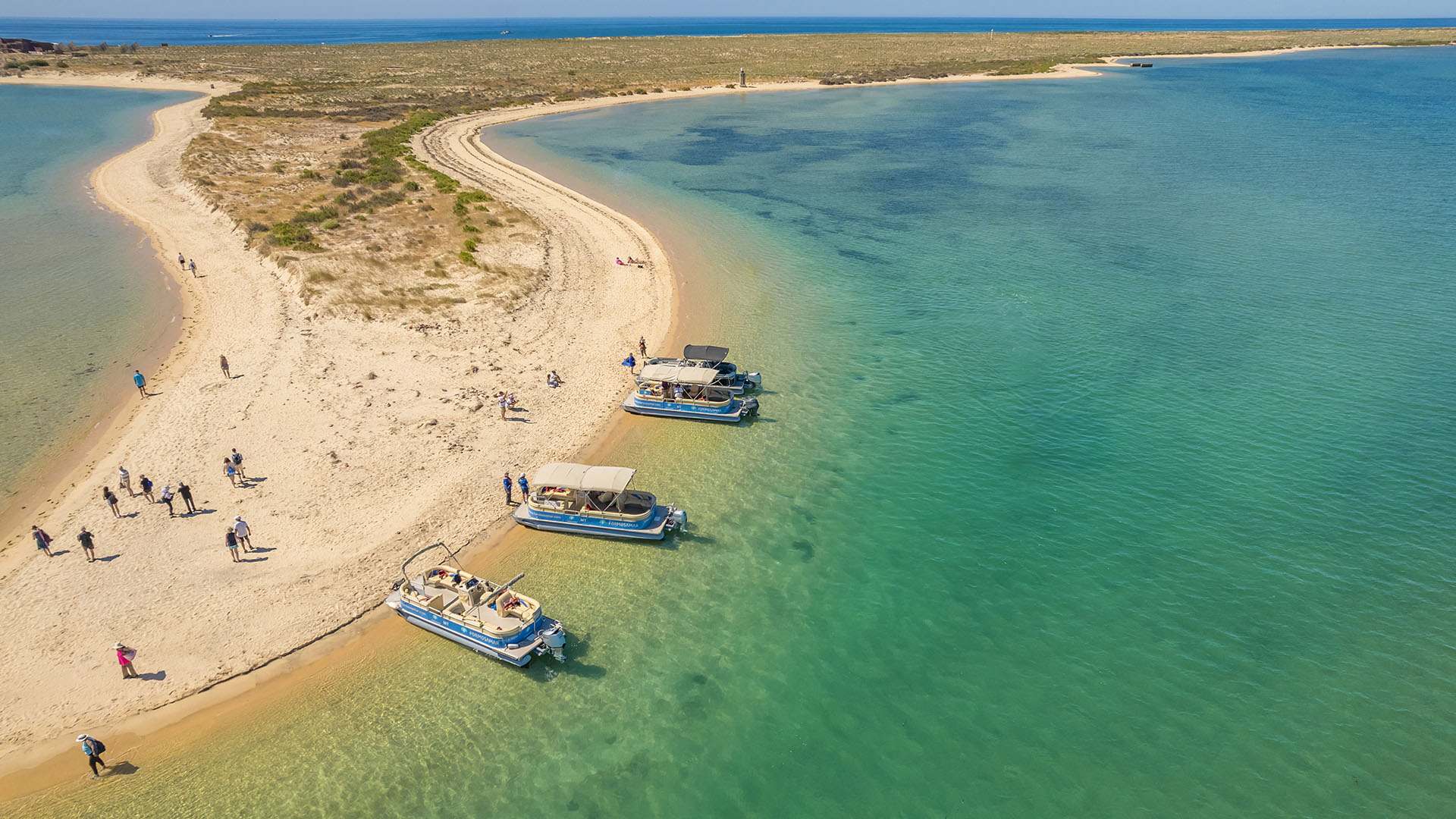 excursions ria formosa