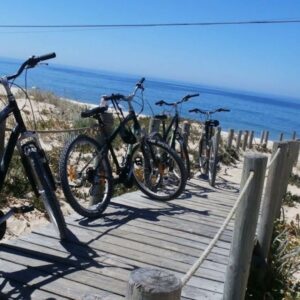 Passeio de bicicleta até Faro no coração do Parque Natural da Ria Formosa