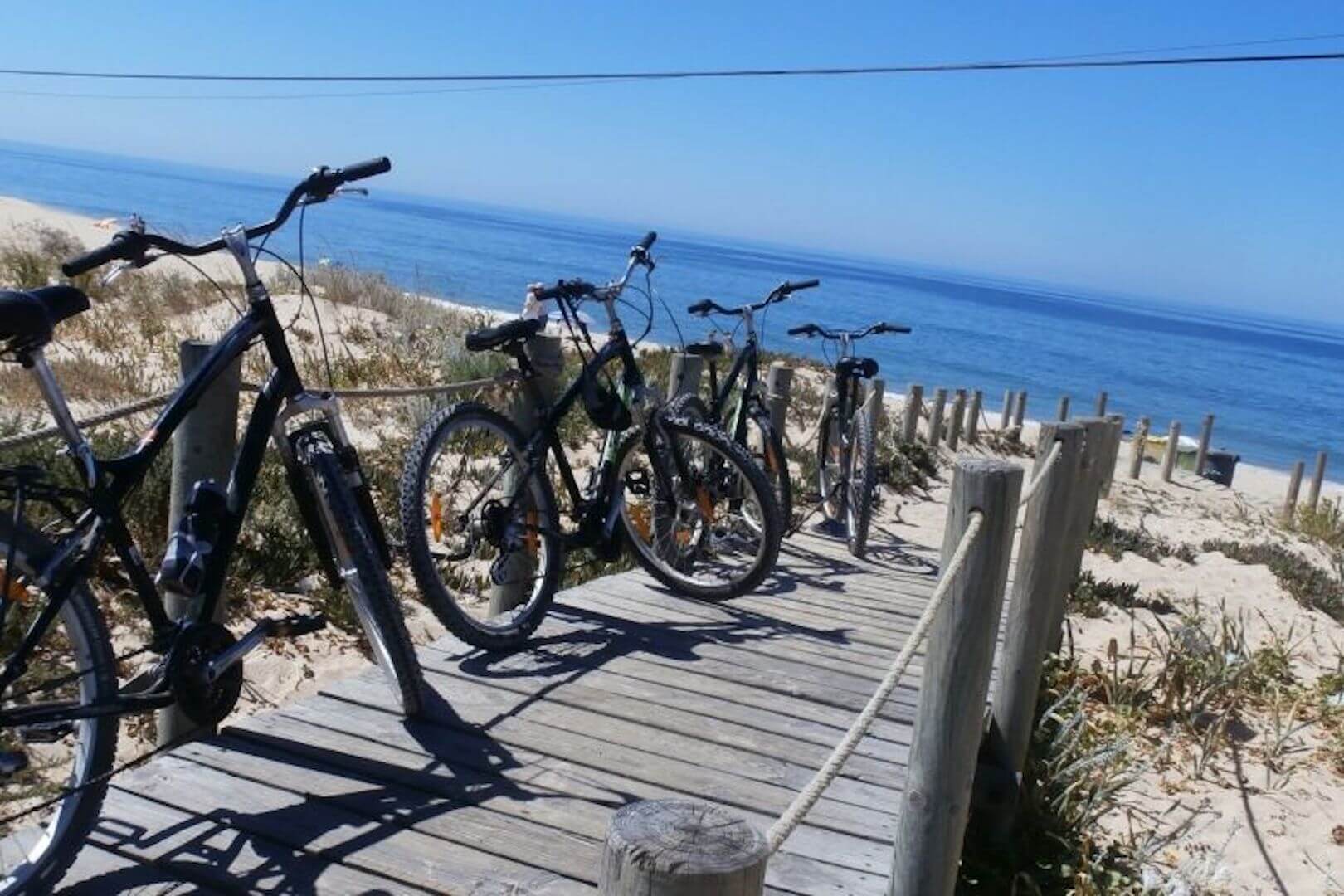 bike tour ria formosa