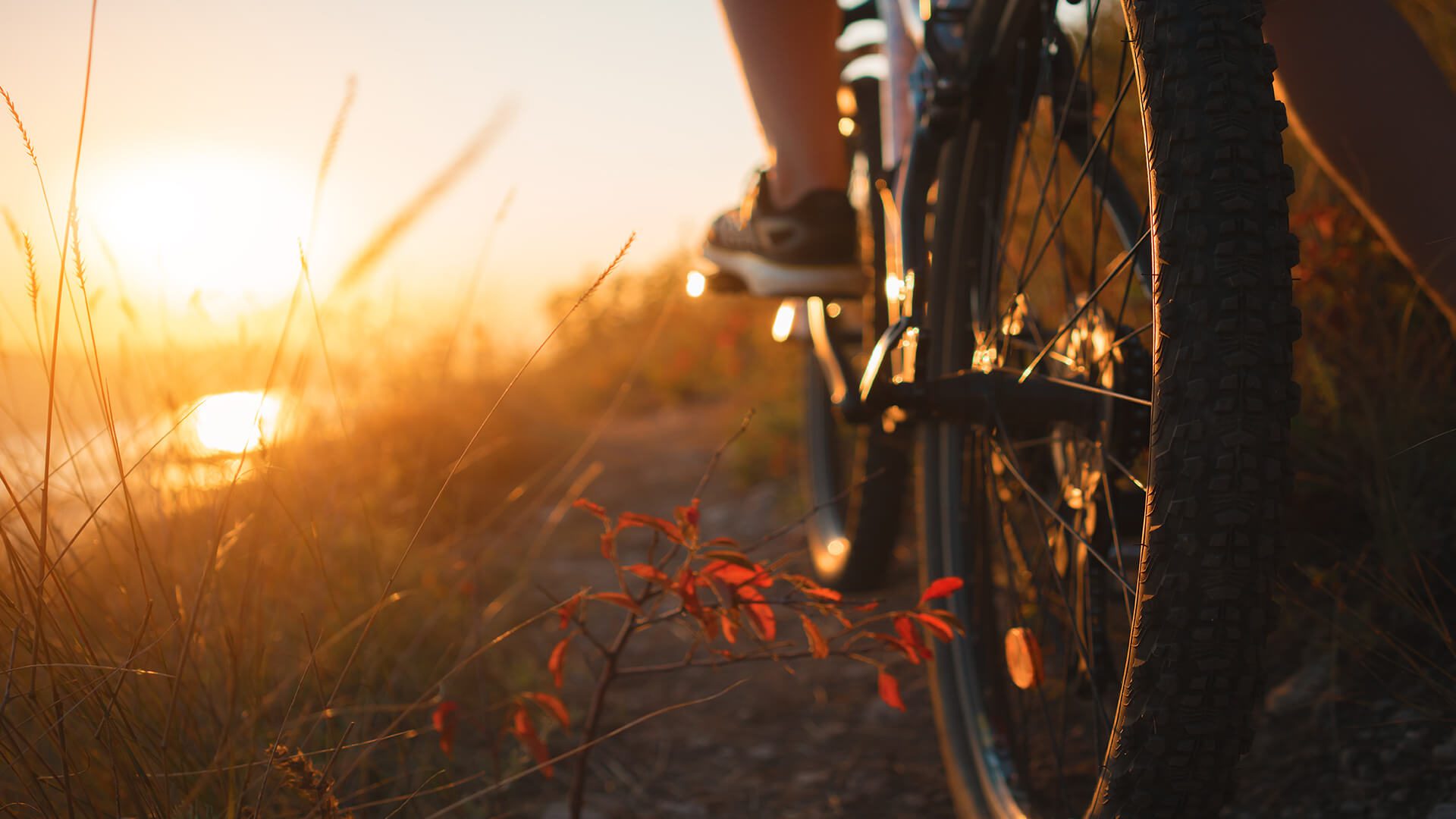 mountain-bike-trail-1