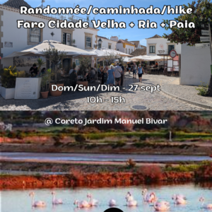 Day Trip: Faro + Ria Formosa + Praia